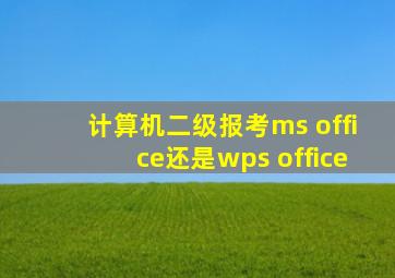 计算机二级报考ms office还是wps office